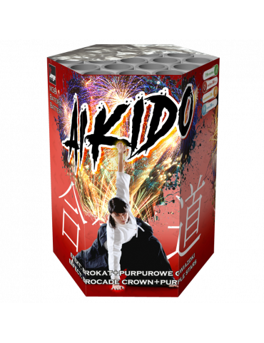 AIKIDO