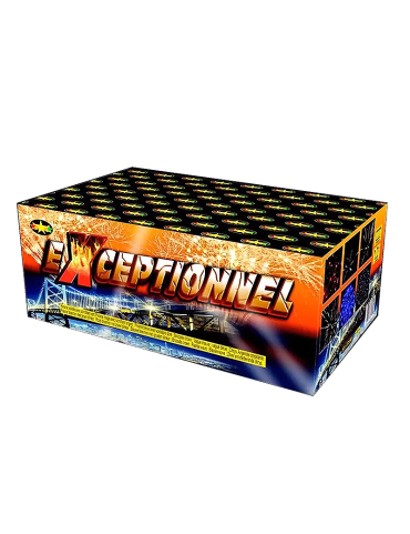 EXEPTIONNEL