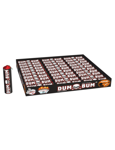 DUMBUM P6A14F3