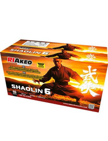 SHAOLIN 6