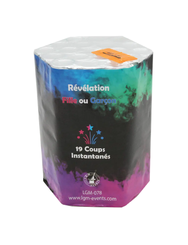 COMPACT JOUR – GERBES DE...