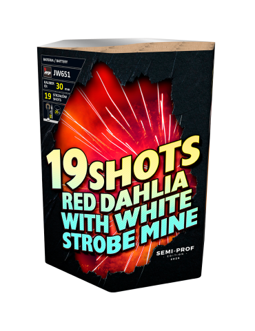 JW651 - SEMI-PROF - 19 COUPS